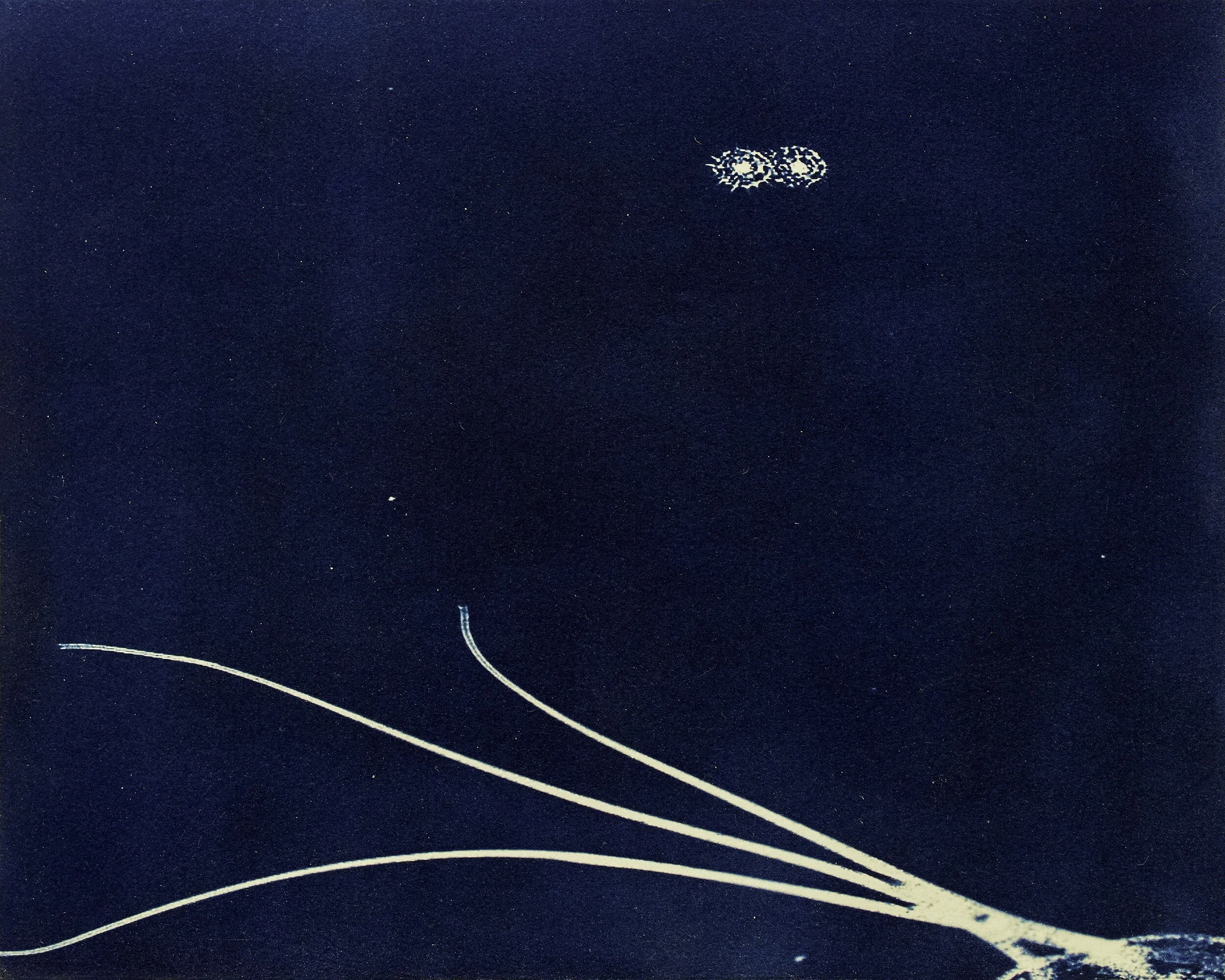 Sarah Grew — Portraits of Pacific Plankton